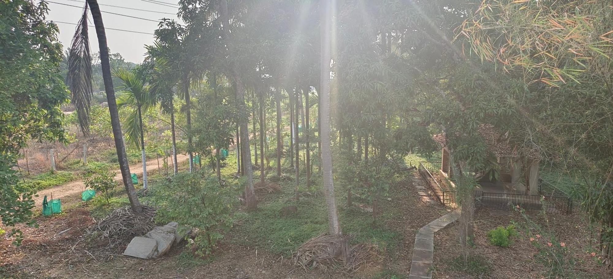 Sugamya Farm Guesthouse Σαγκάρ Δωμάτιο φωτογραφία