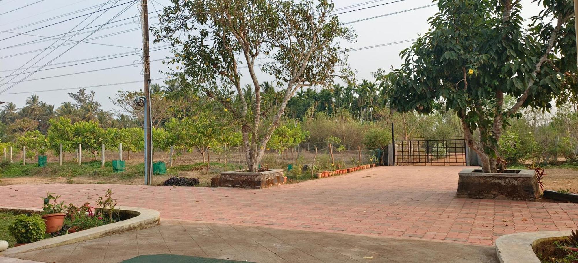 Sugamya Farm Guesthouse Σαγκάρ Εξωτερικό φωτογραφία